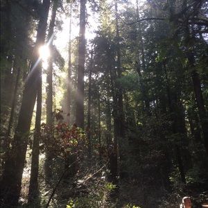 Meet your Posher, Bryce